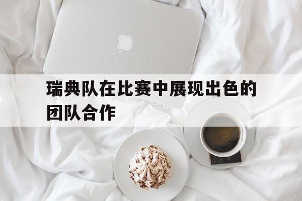 瑞典队在比赛中展现出色的团队合作
